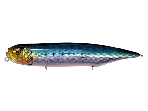 forum megabass